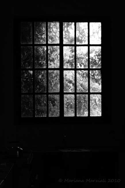"Otoo en la ventana" de Mariana Marziali