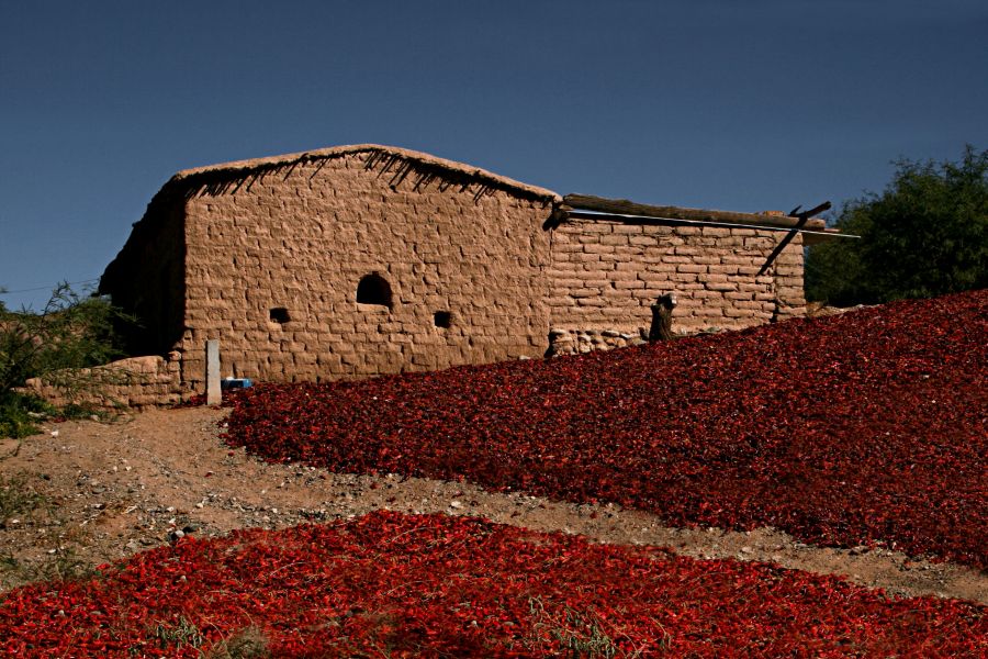 "Paisaje picante" de Eva D`Iorio