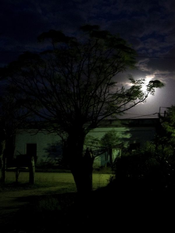 "La luna, el rbol y la casa de mi vecino" de Arturo Rey