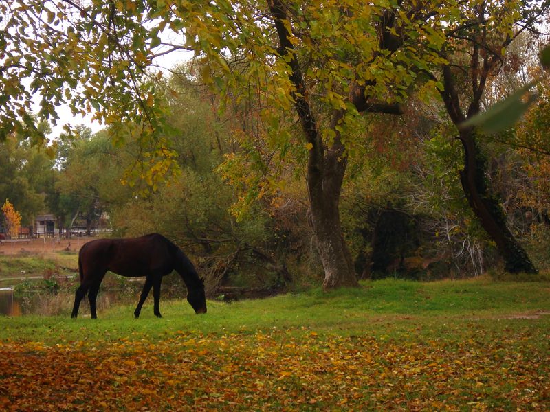 "En el parque" de Eli - Elisabet Ferrari