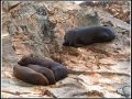 Siesta en familia