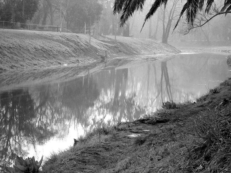 "Arroyo Azul en byn" de Eli - Elisabet Ferrari