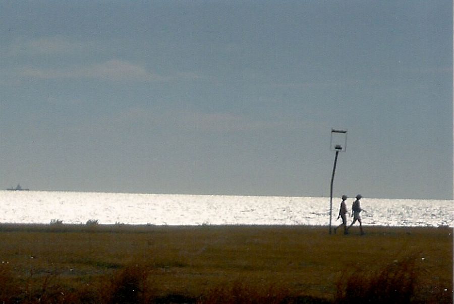 "Paseo maanero" de Ana Vaccari