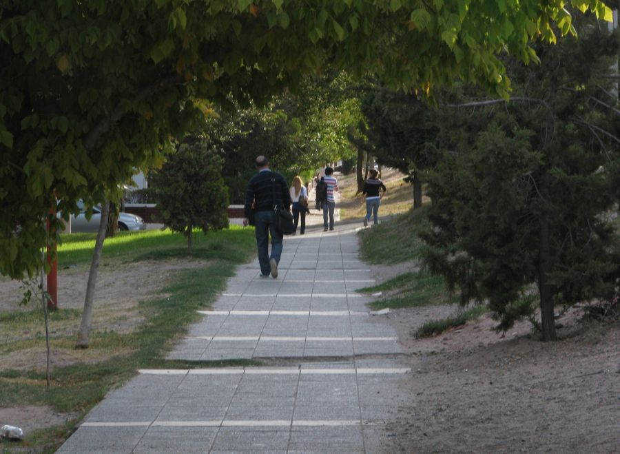 "BOSQUE URBANO" de Juan Esteban Pieralisi