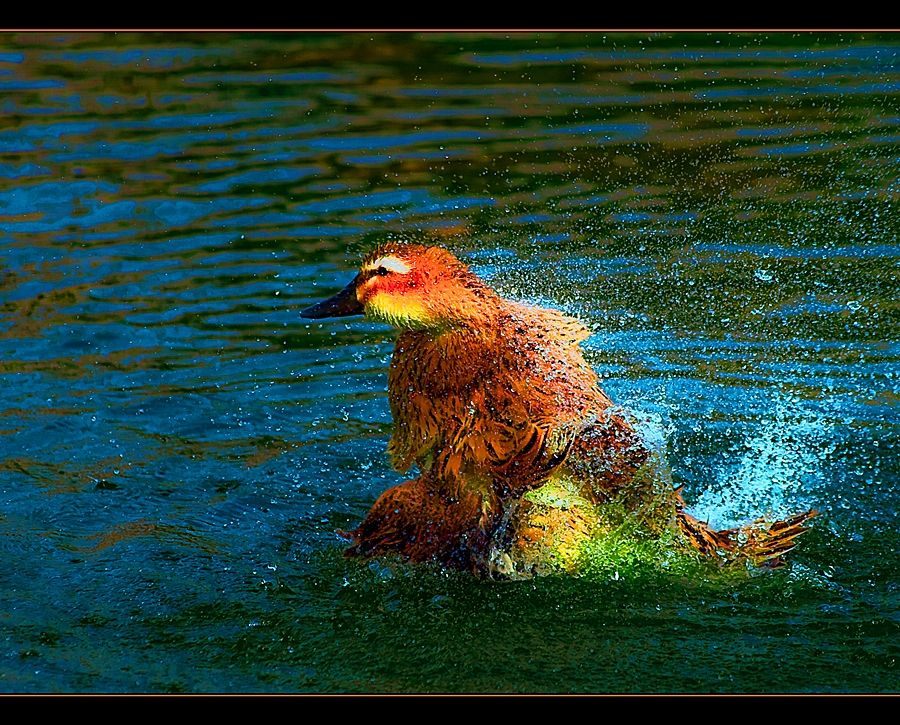 "refrescndose" de Marcelo Zalazar