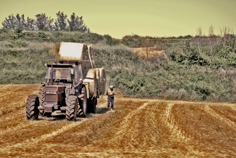 "El Tractor..." de Deborah Marcos