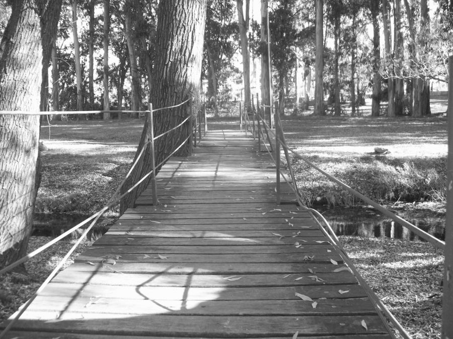 "El puente" de Jorge Hoffmann