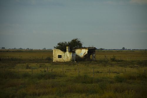 "En el campo" de Daniel J. Farr