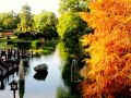 Jardin Japones