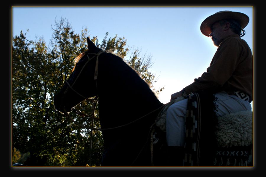 "Notas a caballo" de Gabriela Domato