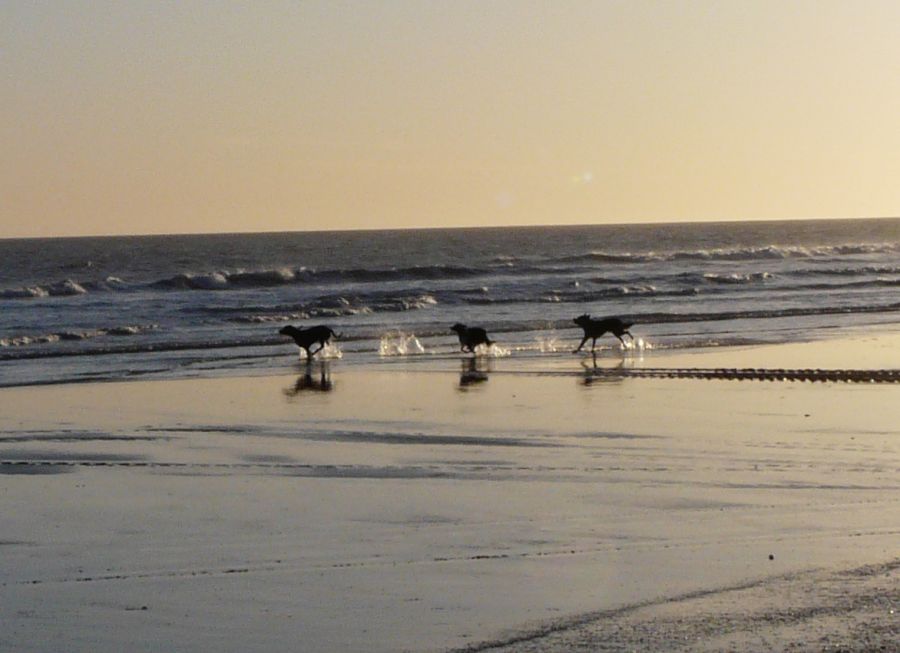 "re...corriendo la playa" de Dante Escudero