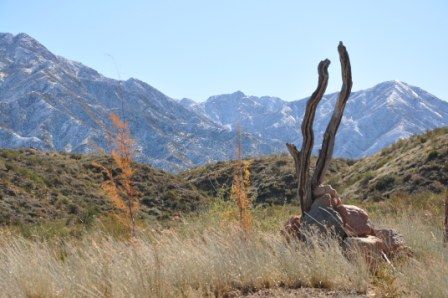 "`PRECORDILLERA MENDOCINA`" de Jose Alberto Vicente