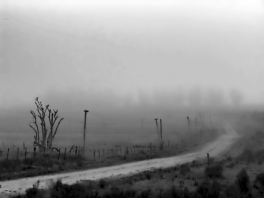 "Camino en la niebla" de Arturo Rey