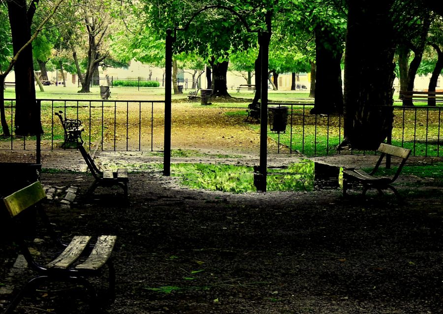 "una tarde en el parque" de Noemi Gomez