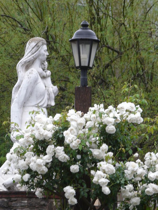 "flores para mi madre" de Dante Escudero