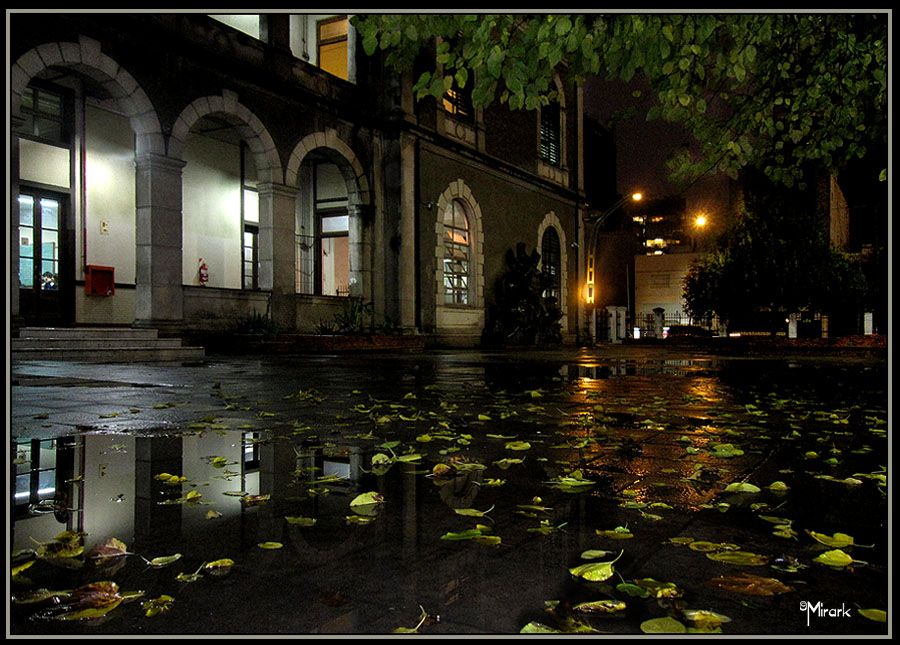 "Reflejos nocturnos en Raggio" de Mirta Steinberg