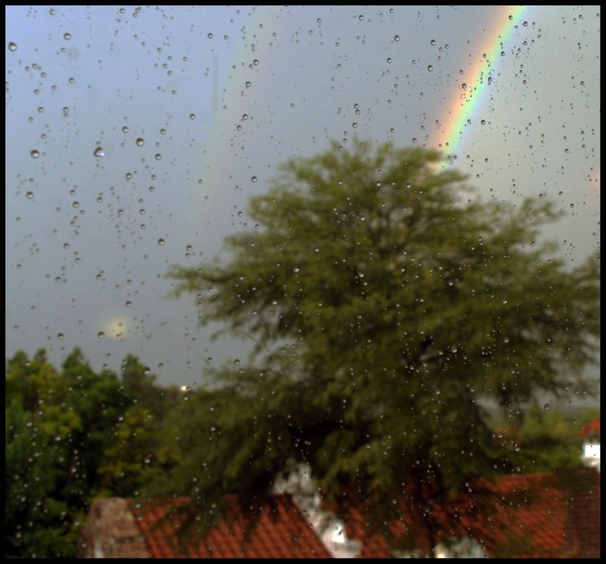 "Arco Iris" de Gabriela Domato