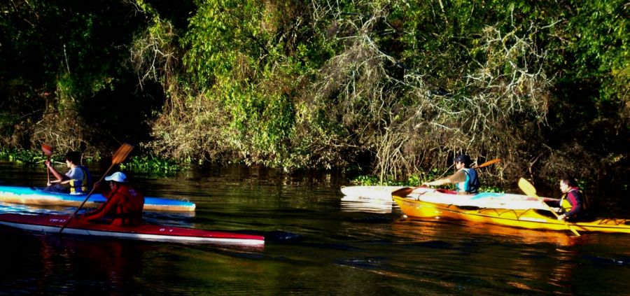 "tarde de canotaje-pesca" de Beatriz Di Marzio