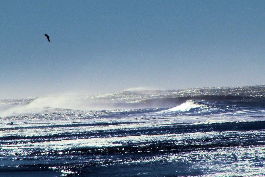 "viento sudeste" de Rosie Kolacek