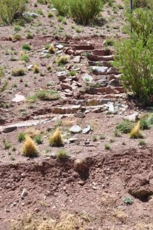 "`ESCALAS DE PIEDRA`" de Jose Alberto Vicente