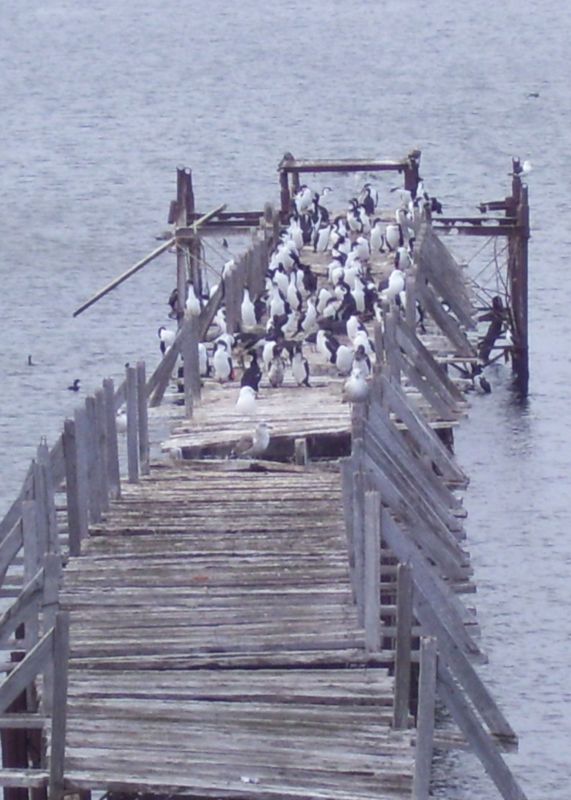 "en el muelle" de Dante Escudero