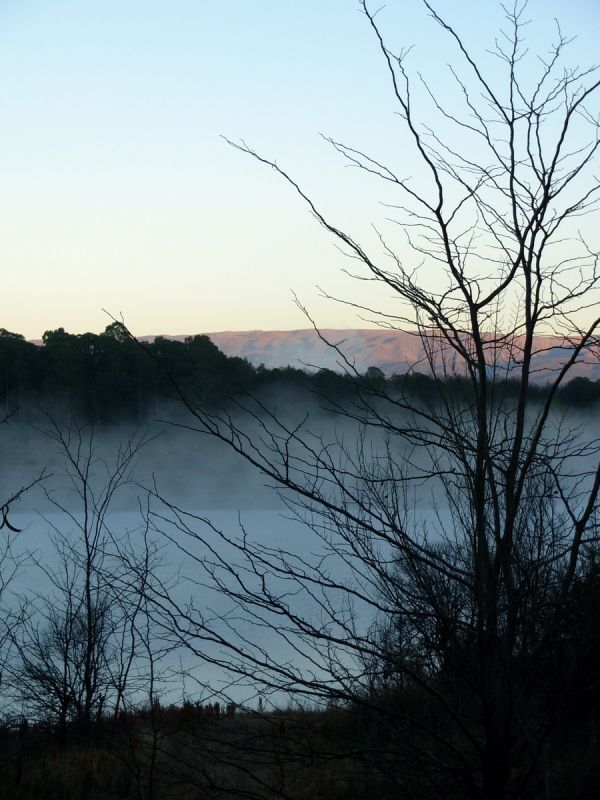 "Niebla" de Jorge Berterretch