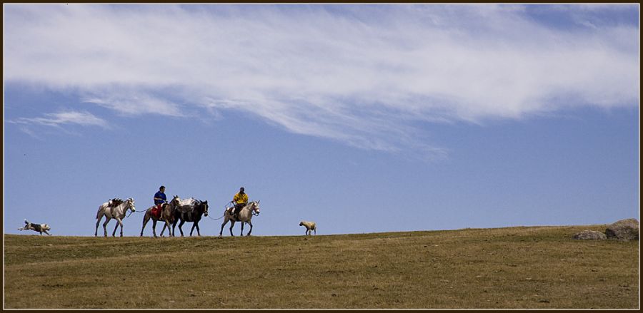 "En camino" de Miguel Nicolini