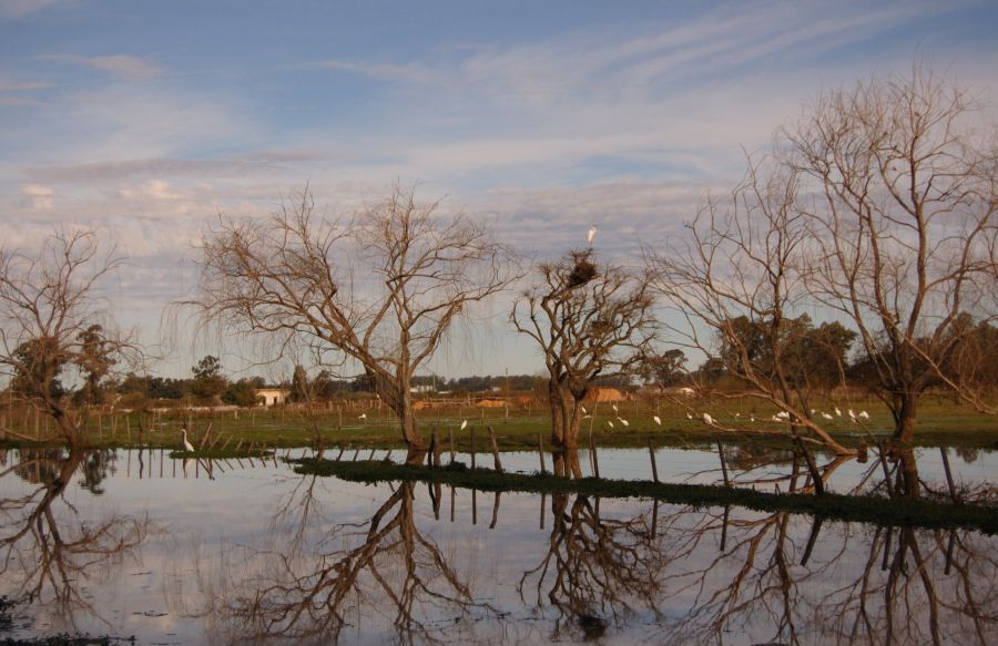 "laguna" de Romina Esponda