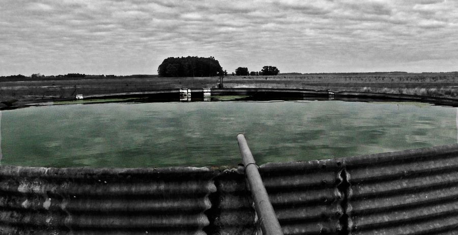 "Como agua de tanque" de Eduardo Ponssa