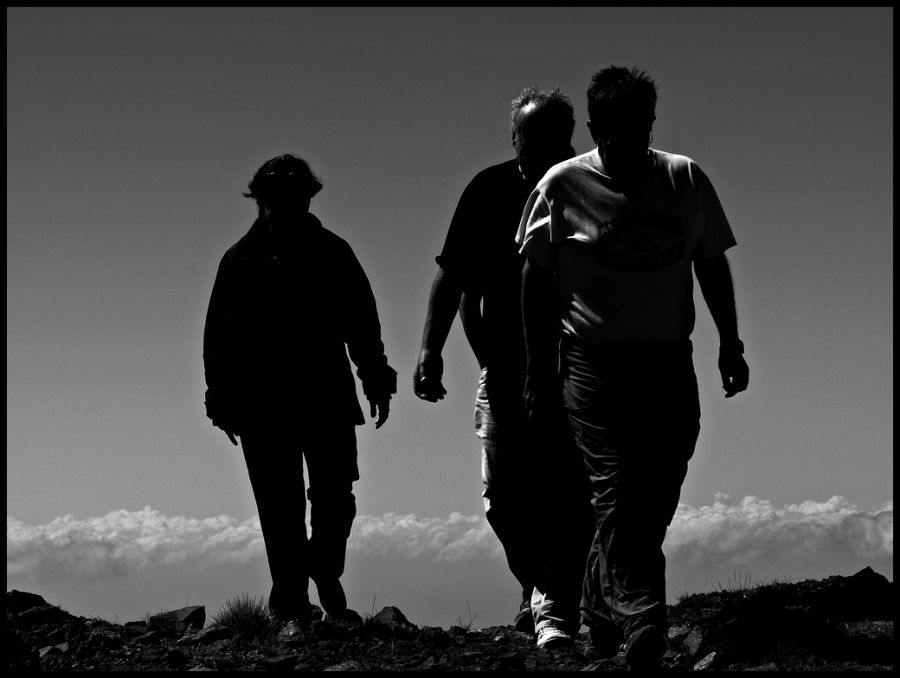 "Caminantes" de Alberto Elizalde