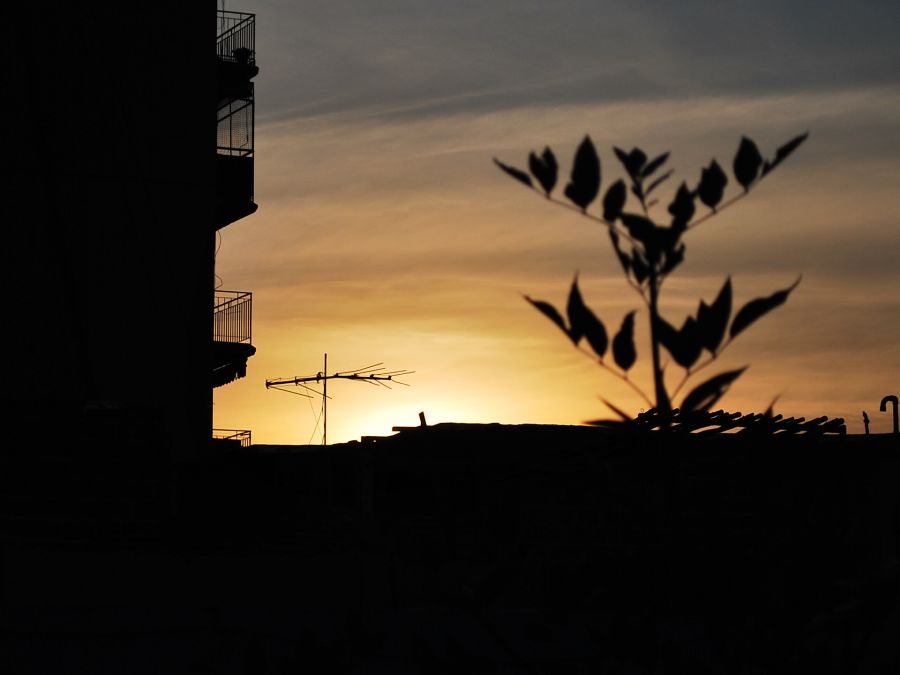 "desde la terraza" de Ludmila Luis Llovet