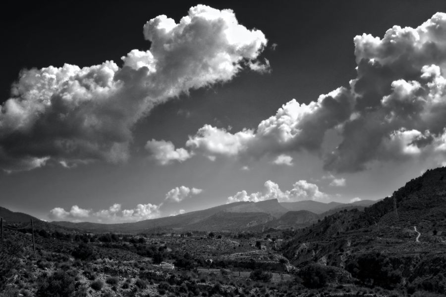 "Nubes de evolucin" de Francisco Jos Cerd Ortiz