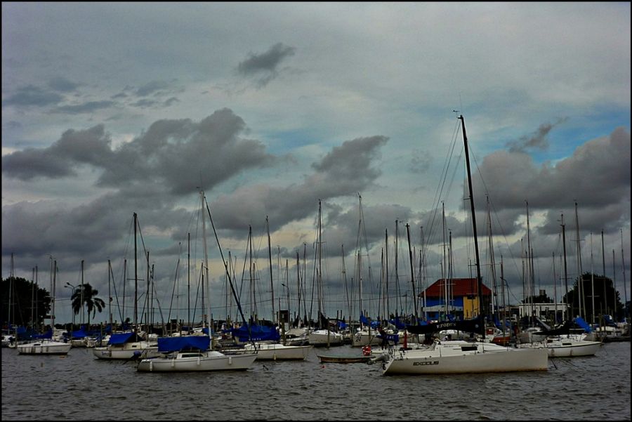 "Puerto de Olivos" de Alberto Elizalde