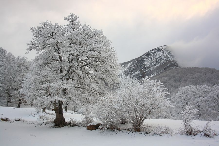 "Valle de Sajambre" de Luis Dez