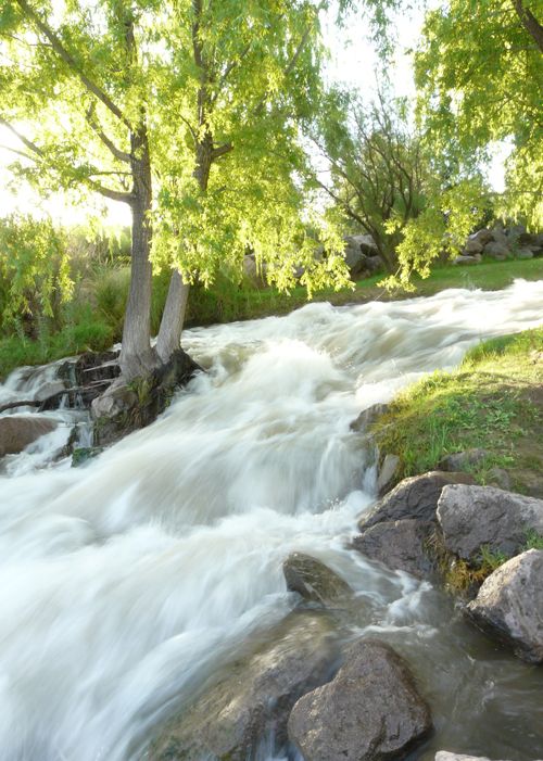 "agua pura = vida sana" de Dante Escudero