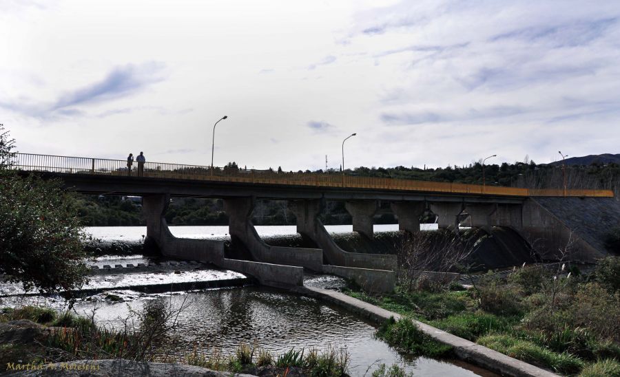 "El puente" de Martha A. Moreschi