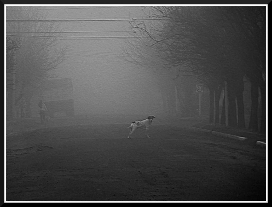 "el capanga de la calle" de Daniel Aciar