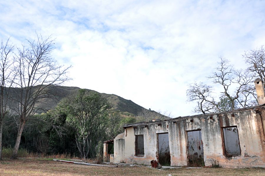 "Sobre abandonos" de Martha A. Moreschi