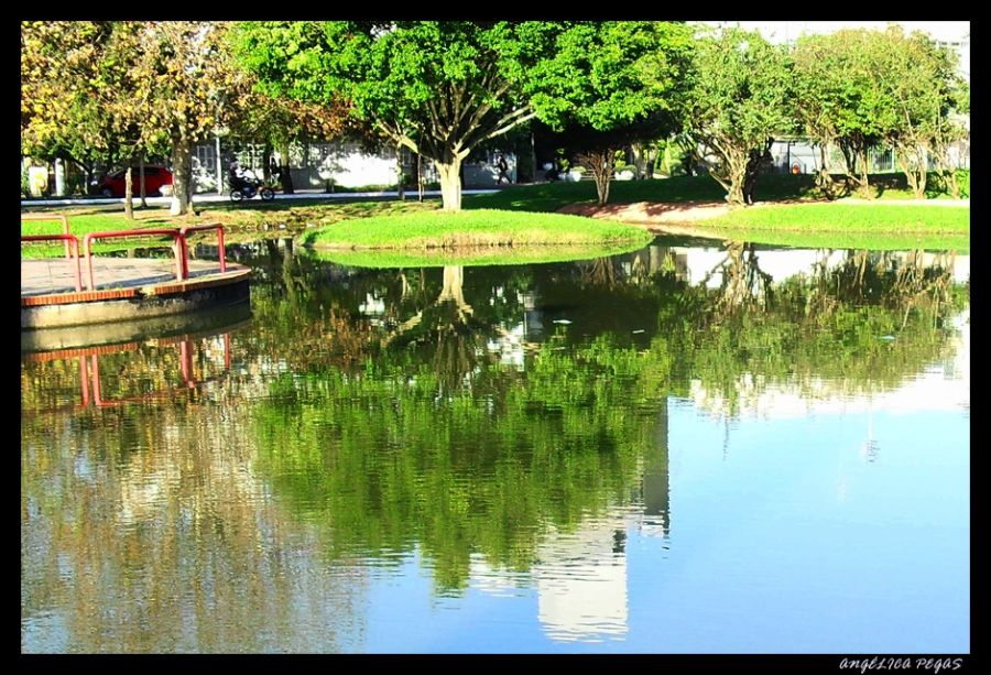 "LA NATURALEZA REFLETIDA!!!" de Anglica Pegas