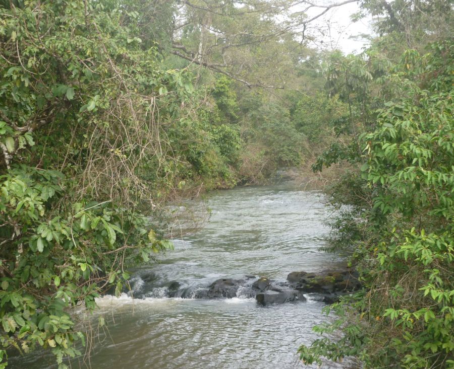 "el rio" de Carlos Alberto Novo