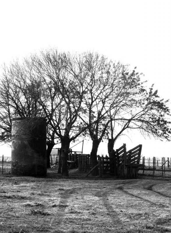 "palomar y corrales" de Vernica Dana