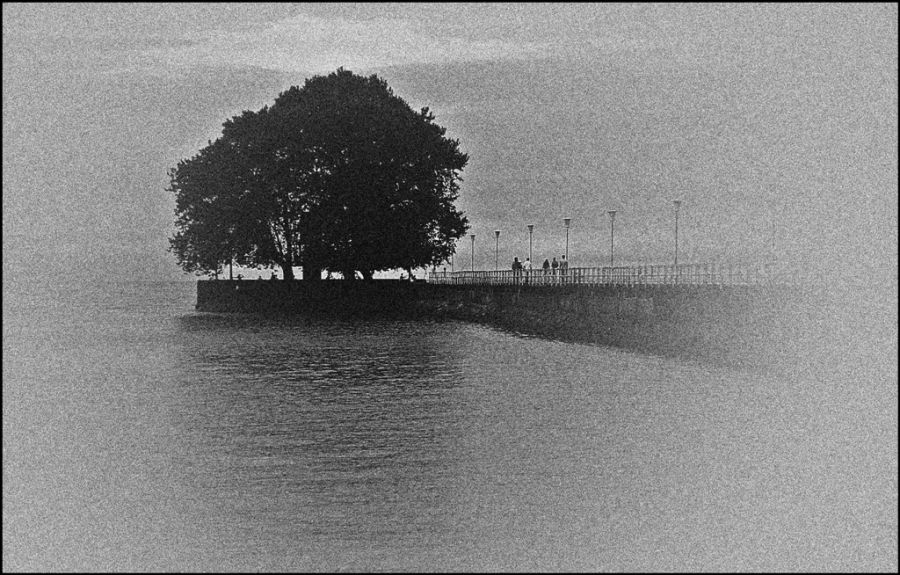 "Paseo en el muelle" de Alberto Elizalde