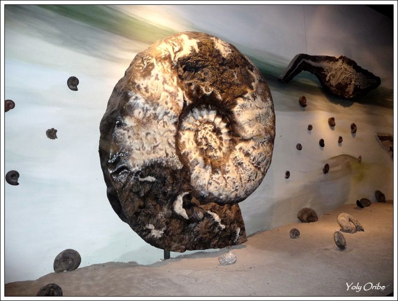 "Museo paleontolgico en trelew 2" de Yolanda Isabel Oribe