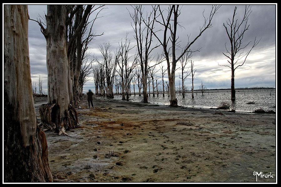 "Sola en Epecuen" de Mirta Steinberg