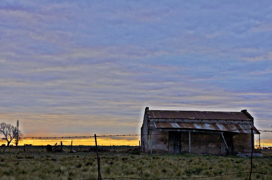 "atardecer en el campo" de Betiana Peralta