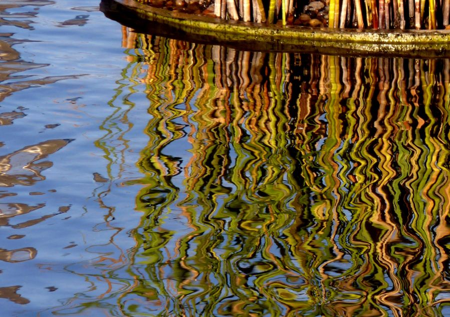 "reflejando" de Noemi Gomez