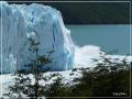 Perito Moreno, desprendimiento