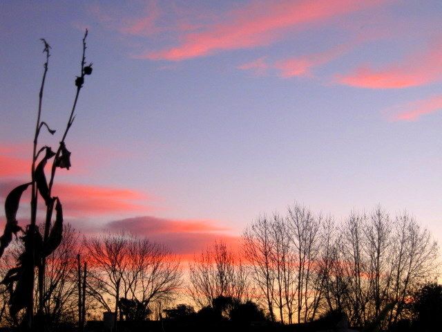 "Atardecer rosado" de Mara Griselda Garca Cuerva