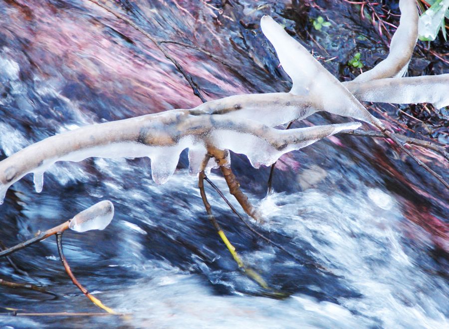 "hielo en el arroyo" de Dante Escudero