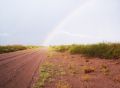 buscando el arco iris